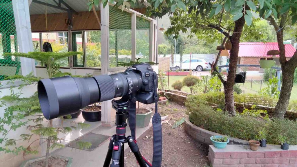 IMG20220603175811.jpg (1)