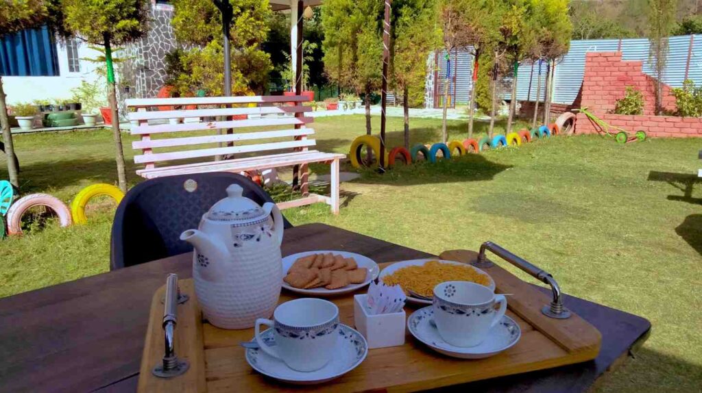 bloom1654050780921.jpg (1)