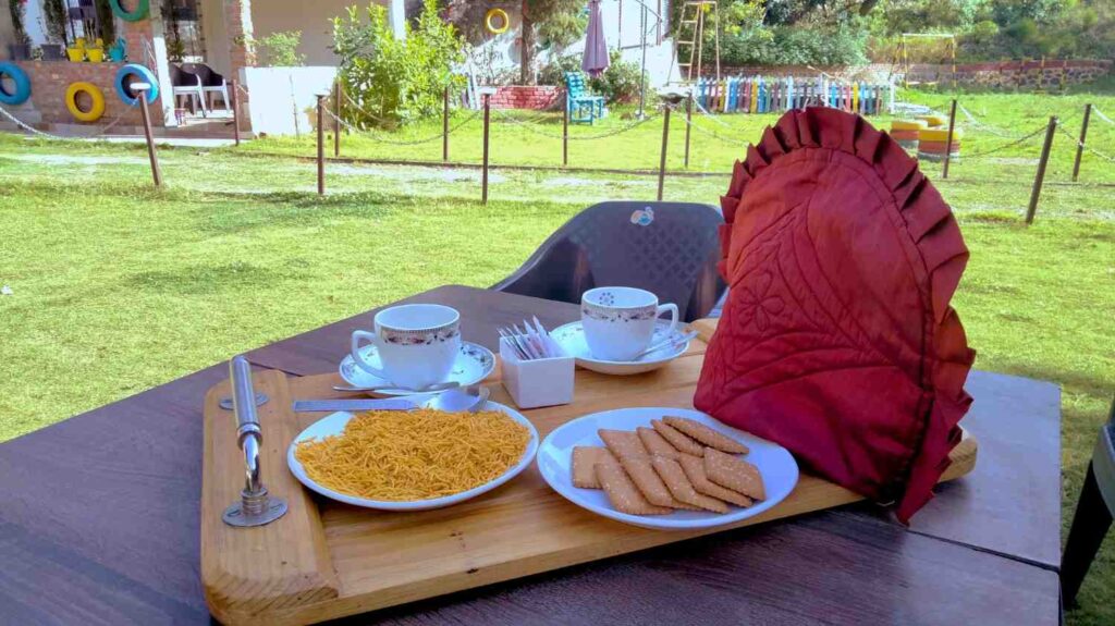 bloom1654050807917.jpg (1)