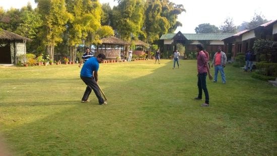 fun-time-playing-cricket.jpg (2)